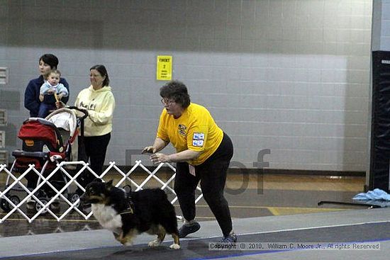 MCRD Unplugged Flyball Tournement<br />March 21st, 2010