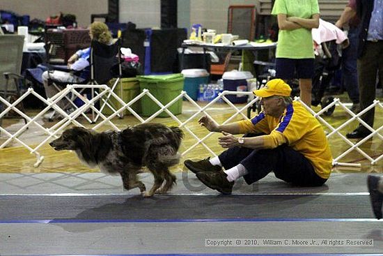 MCRD Unplugged Flyball Tournement<br />March 21st, 2010