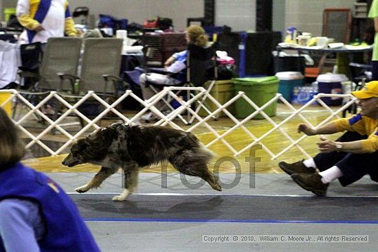 MCRD Unplugged Flyball Tournement<br />March 21st, 2010