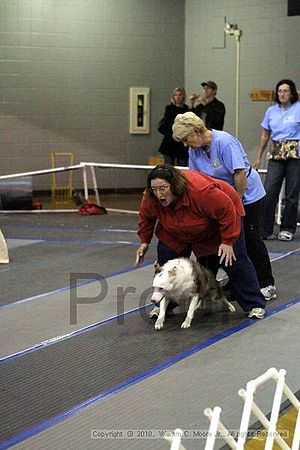 MCRD Unplugged Flyball Tournement<br />March 21st, 2010