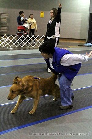 MCRD Unplugged Flyball Tournement<br />March 21st, 2010