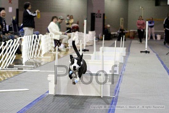 MCRD Unplugged Flyball Tournement<br />March 21st, 2010