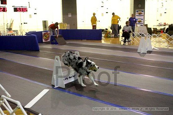 MCRD Unplugged Flyball Tournement<br />March 21st, 2010