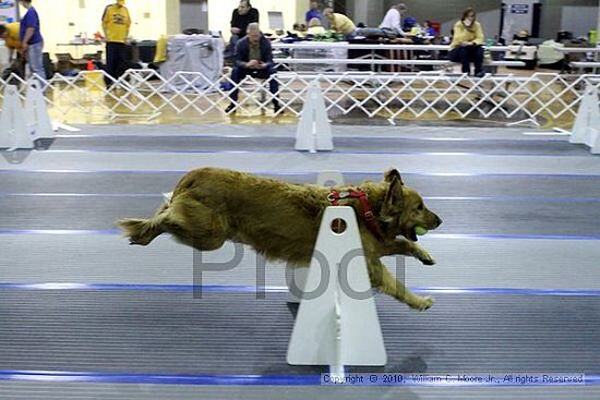 MCRD Unplugged Flyball Tournement<br />March 21st, 2010