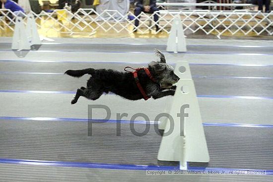 MCRD Unplugged Flyball Tournement<br />March 21st, 2010