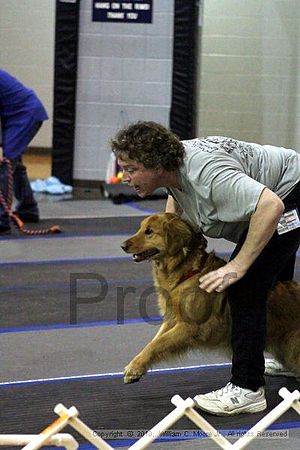 MCRD Unplugged Flyball Tournement<br />March 21st, 2010