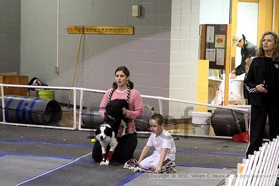 MCRD Unplugged Flyball Tournement<br />March 21st, 2010