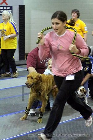 MCRD Unplugged Flyball Tournement<br />March 21st, 2010