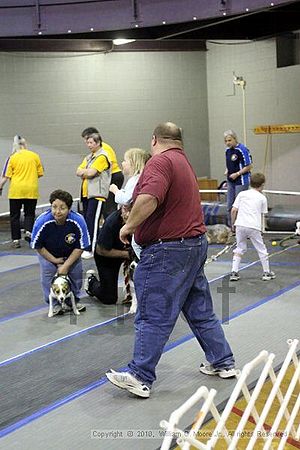 MCRD Unplugged Flyball Tournement<br />March 21st, 2010