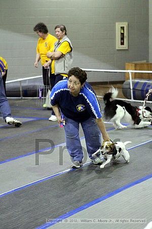 MCRD Unplugged Flyball Tournement<br />March 21st, 2010