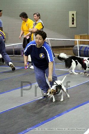 MCRD Unplugged Flyball Tournement<br />March 21st, 2010