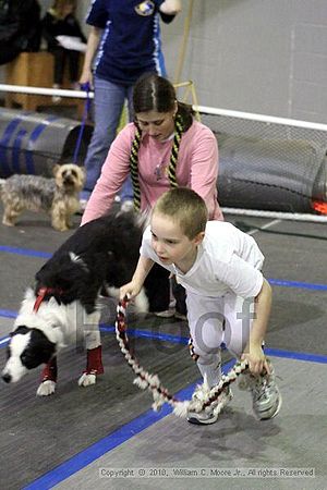 MCRD Unplugged Flyball Tournement<br />March 21st, 2010