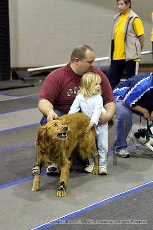 MCRD Unplugged Flyball Tournement<br />March 21st, 2010