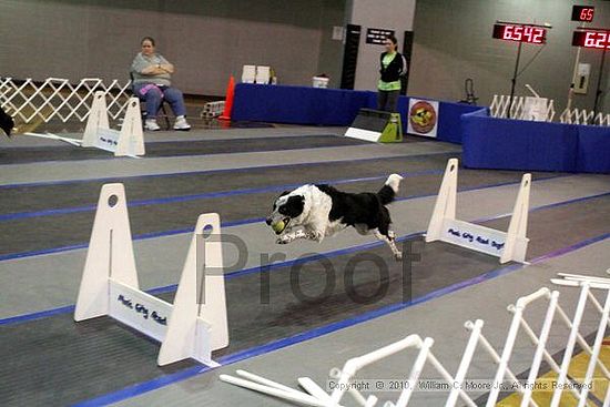 MCRD Unplugged Flyball Tournement<br />March 21st, 2010