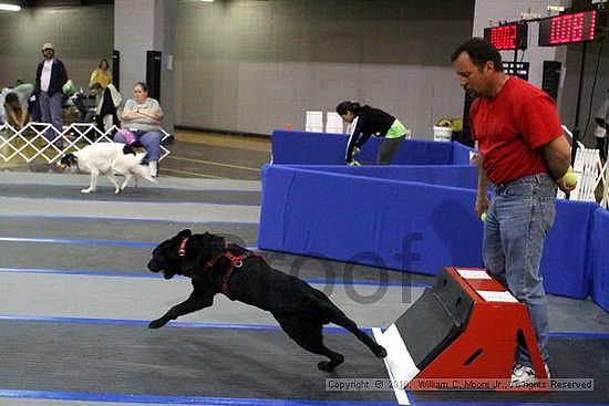 MCRD Unplugged Flyball Tournement<br />March 21st, 2010