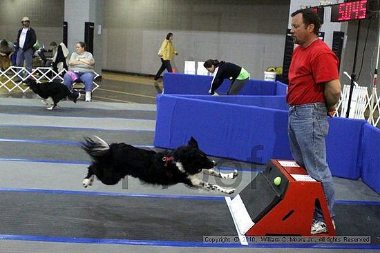 MCRD Unplugged Flyball Tournement<br />March 21st, 2010