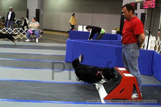 MCRD Unplugged Flyball Tournement<br />March 21st, 2010