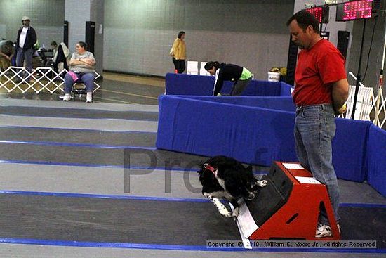 MCRD Unplugged Flyball Tournement<br />March 21st, 2010