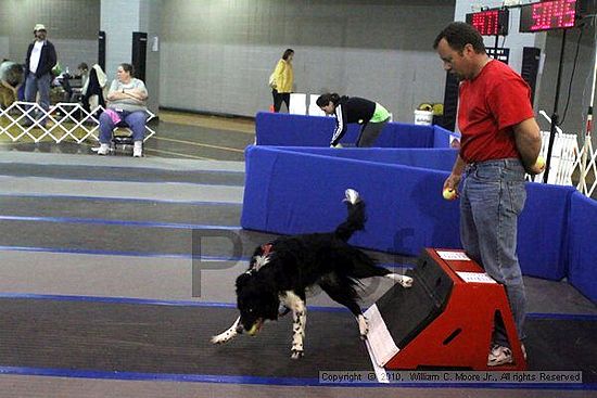 MCRD Unplugged Flyball Tournement<br />March 21st, 2010