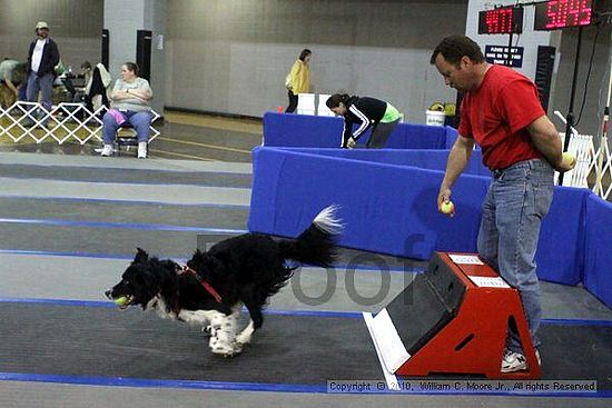 MCRD Unplugged Flyball Tournement<br />March 21st, 2010