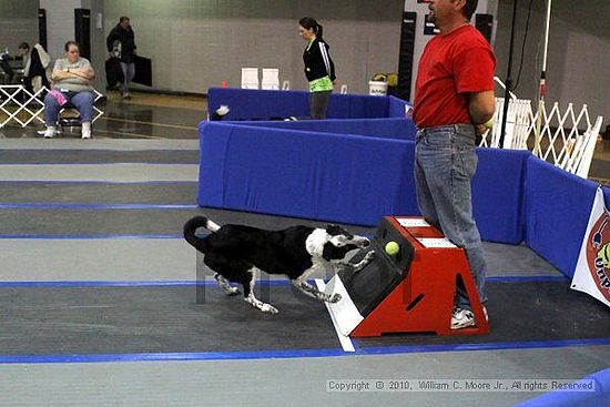 MCRD Unplugged Flyball Tournement<br />March 21st, 2010