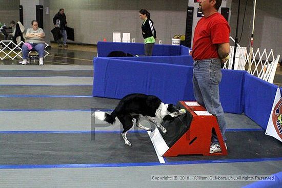 MCRD Unplugged Flyball Tournement<br />March 21st, 2010