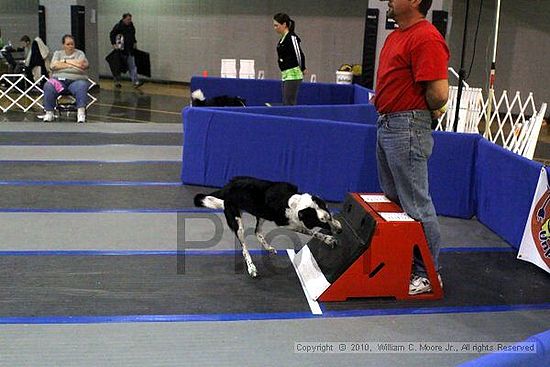 MCRD Unplugged Flyball Tournement<br />March 21st, 2010