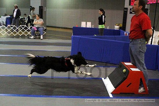 MCRD Unplugged Flyball Tournement<br />March 21st, 2010