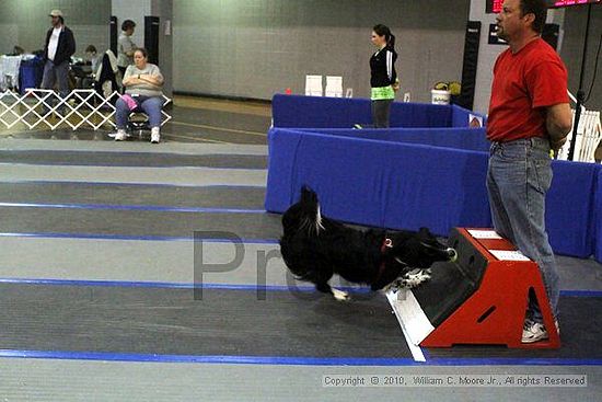 MCRD Unplugged Flyball Tournement<br />March 21st, 2010