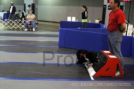 MCRD Unplugged Flyball Tournement<br />March 21st, 2010