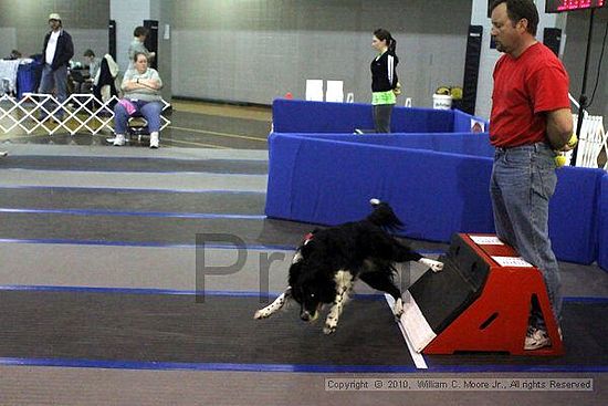 MCRD Unplugged Flyball Tournement<br />March 21st, 2010