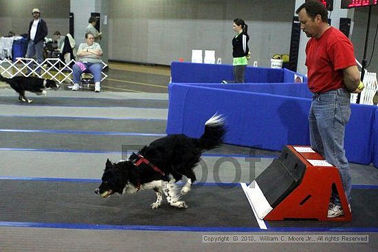 MCRD Unplugged Flyball Tournement<br />March 21st, 2010