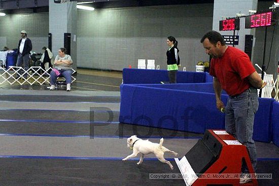 MCRD Unplugged Flyball Tournement<br />March 21st, 2010