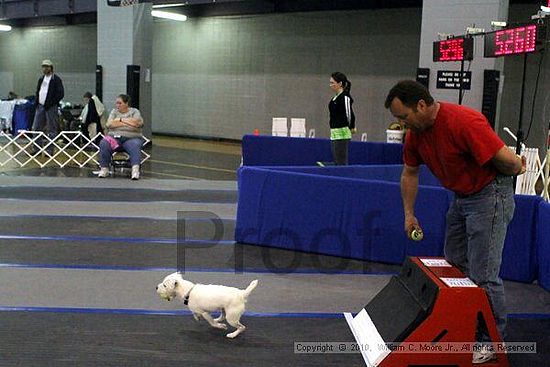 MCRD Unplugged Flyball Tournement<br />March 21st, 2010