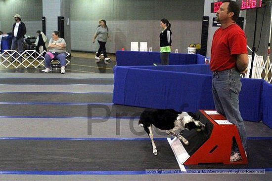 MCRD Unplugged Flyball Tournement<br />March 21st, 2010