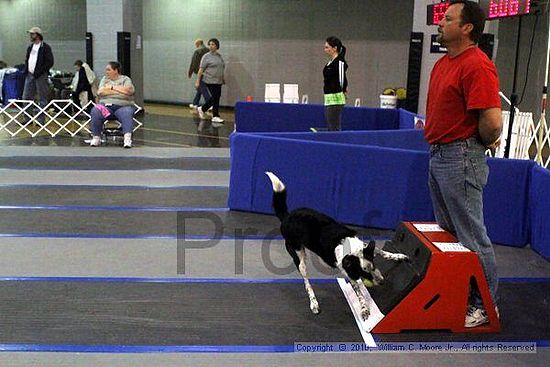 MCRD Unplugged Flyball Tournement<br />March 21st, 2010