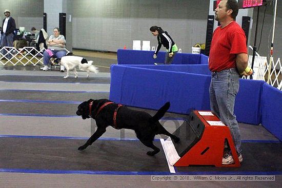 MCRD Unplugged Flyball Tournement<br />March 21st, 2010