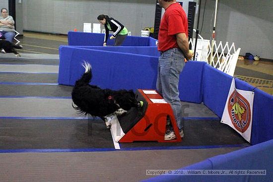 MCRD Unplugged Flyball Tournement<br />March 21st, 2010