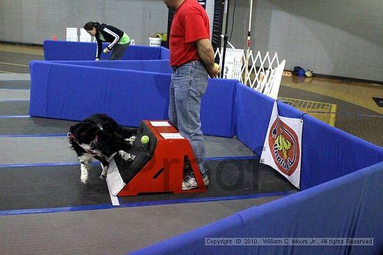 MCRD Unplugged Flyball Tournement<br />March 21st, 2010