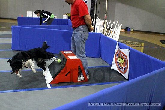 MCRD Unplugged Flyball Tournement<br />March 21st, 2010