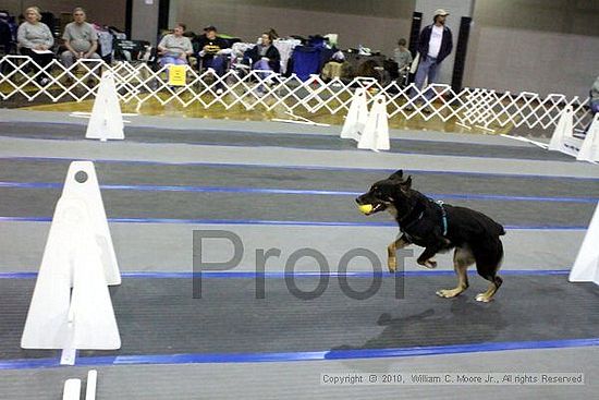 MCRD Unplugged Flyball Tournement<br />March 21st, 2010