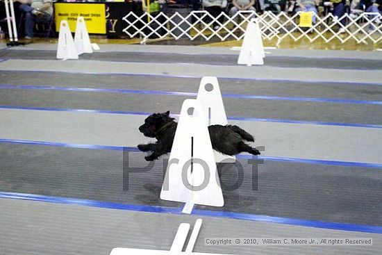 MCRD Unplugged Flyball Tournement<br />March 21st, 2010