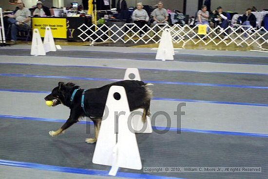 MCRD Unplugged Flyball Tournement<br />March 21st, 2010