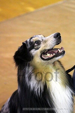 MCRD Unplugged Flyball Tournement<br />March 20th, 2010