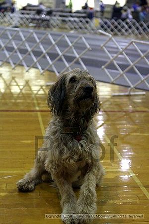 MCRD Unplugged Flyball Tournement<br />March 21st, 2010