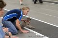IMG_7762