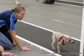 IMG_7764