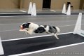 IMG_7778