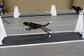 IMG_7851