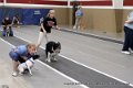 IMG_7918